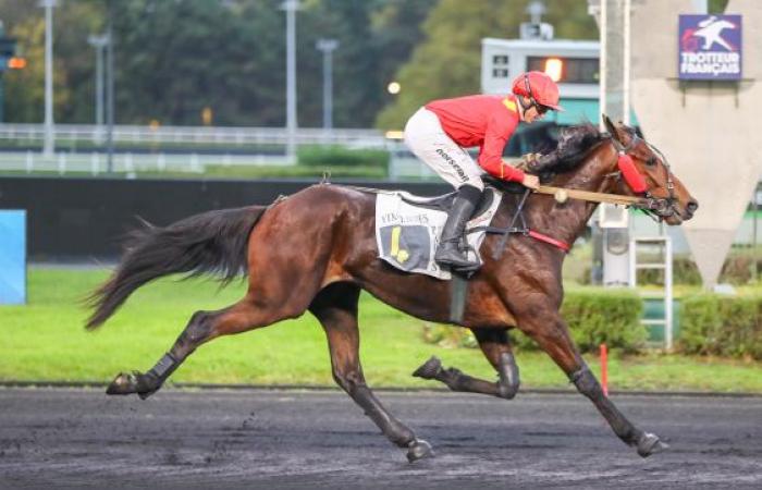 Very good three years under the saddle in the Urgent Prize at Vincennes