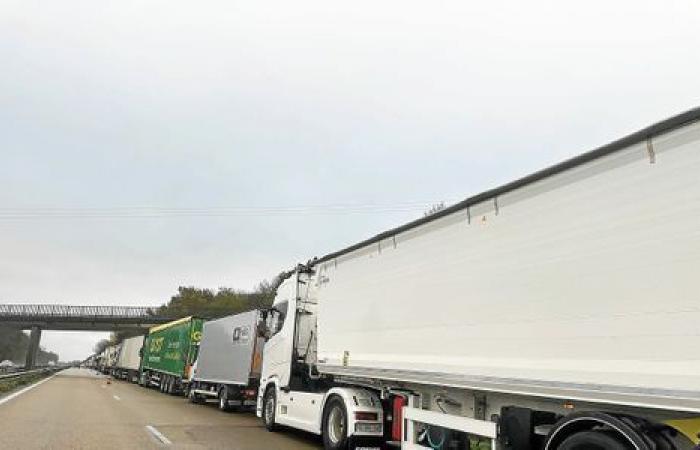 Stopping on the RN12 near Morlaix because of the snow, truck drivers take the opportunity to “socialize”