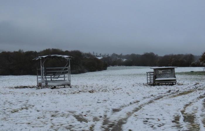 IN PICTURES. In Côtes-d'Armor, several centimeters of snow covered the countryside