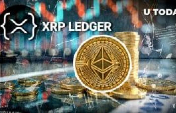 XRP Rockets 454% in Liquidation Imbalance as Bears Fuel Price Rally