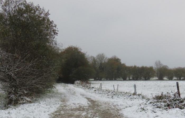 IN PICTURES. In Côtes-d'Armor, several centimeters of snow covered the countryside