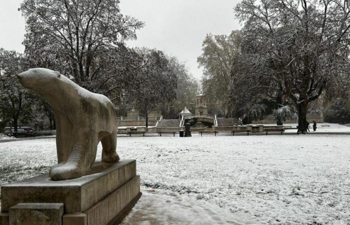 IN PICTURES – Our most beautiful photos of snow in Côte-d’Or and Saône-et-Loire