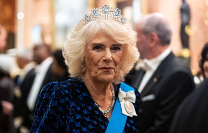 Camilla Parker Bowles: after illness, the wife of Charles III reappears and brings everyone into agreement