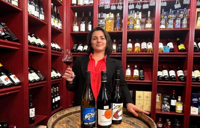 Banana taste, price, aging: five not-so-stupid questions about Beaujolais Nouveau, which comes out this Thursday (video)