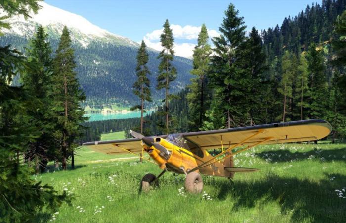 The animals in Microsoft Flight Simulator 2024 actually come from another game | Xbox