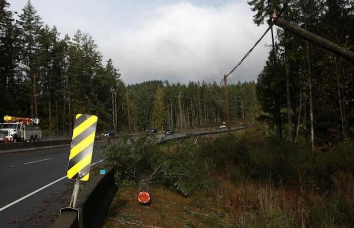 More than 55,000 homes still without electricity after weather bomb