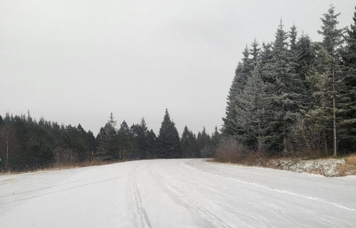 Occitanie. Here, the snow falls from 500 meters… and it will continue all day