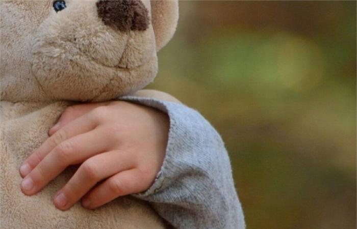 From Lot-et-Garonne, he sold dangerous stuffed animals for children on the internet