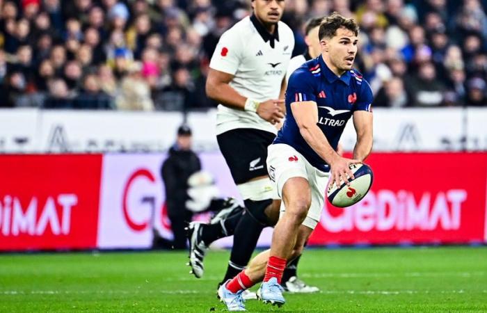 compositions, referee, TV broadcast… Everything you need to know about the test match between France and Argentina