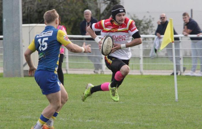 Amateur rugby – Federal 2: RC Villeneuve in the test of the “Wild Boars” of Belvès