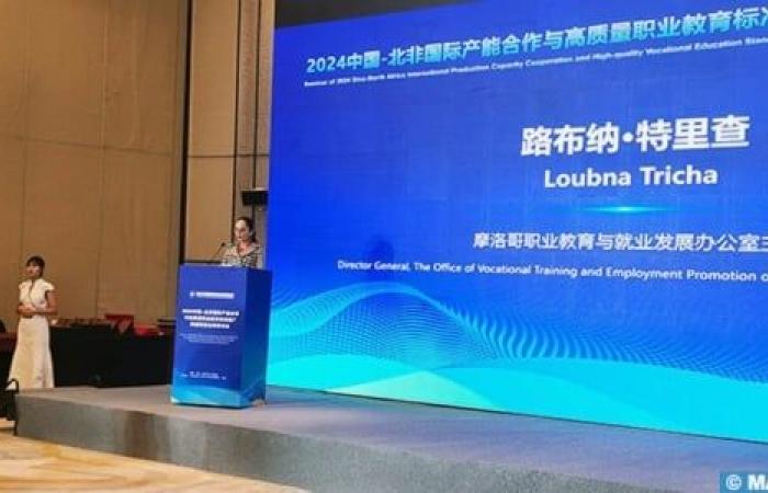 China: Ms. Tricha highlights Moroccan experience in professional training