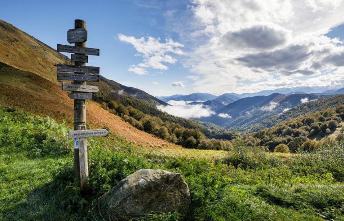 Mysterious disappearance of Fadela, 50 years old, in Ariège