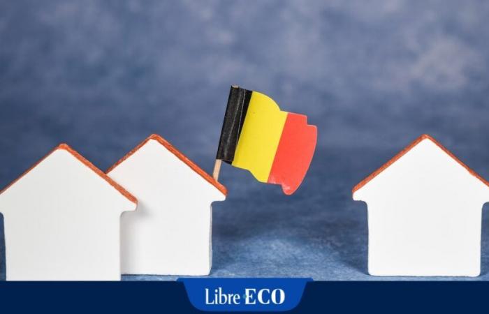 Belgian households among the richest in the euro zone