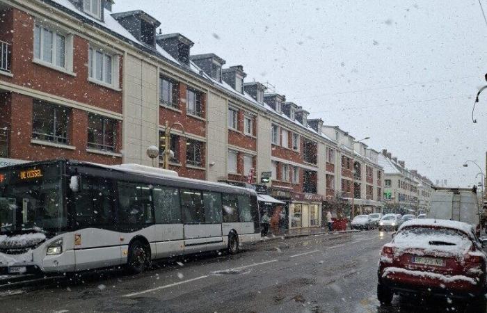 25 cm in places, school transport stopped…