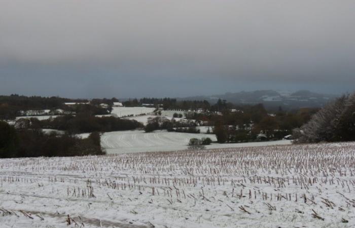 IN PICTURES. In Côtes-d'Armor, several centimeters of snow covered the countryside