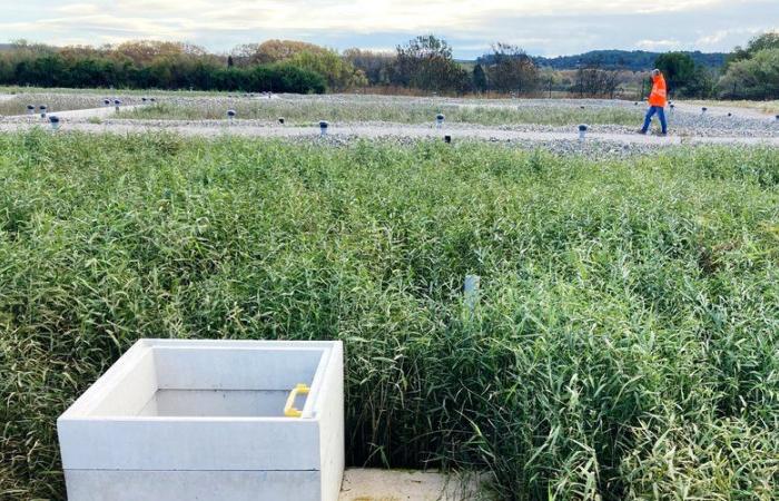 The new treatment plant will improve the quality of bathing water in Hérault