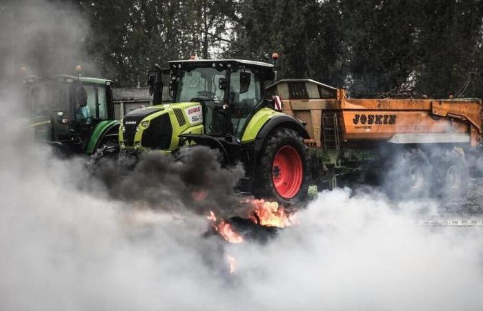 Anger of farmers: the prefect of Landes will file a complaint against the Coordination