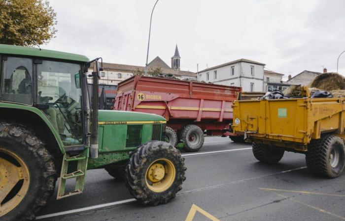 anger is brewing in Bordeaux, other cities targeted?