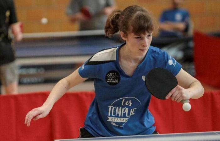 Table tennis – Federal Critérium. Parthenaisienne Sarah Morteau in search of points