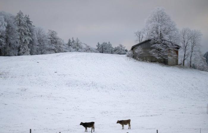 Onset of winter in Switzerland – Where will it snow today? -News