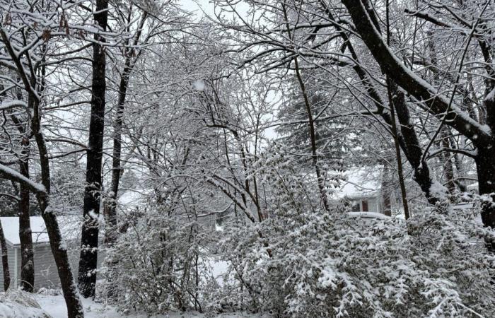 Winter Storm Warning issued ahead of snowy, slushy evening