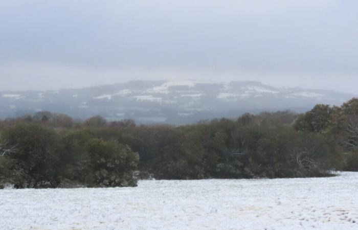 IN PICTURES. In Côtes-d'Armor, several centimeters of snow covered the countryside