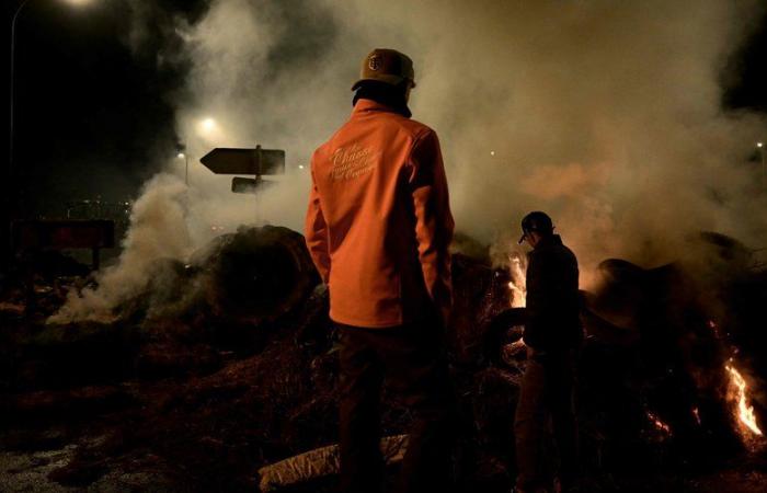 DIRECT. Anger of farmers: the commercial port of Bordeaux blocked, new actions this Thursday in the South-West