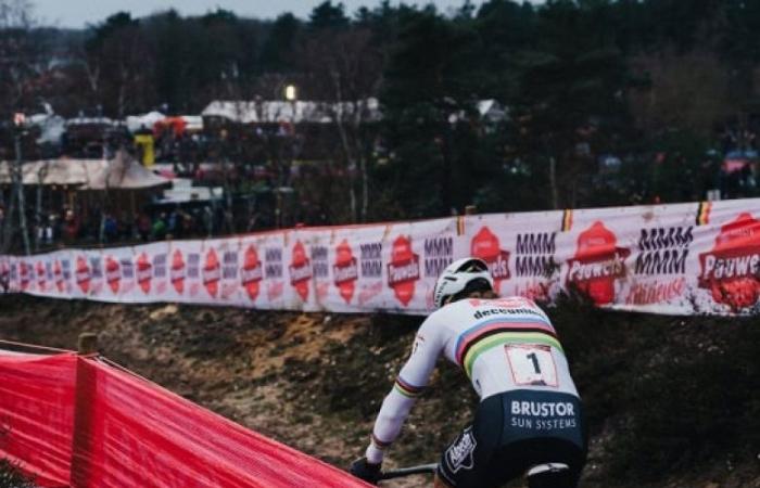 Cycling. Cyclo-Cross – Van den Abeele: “We want to involve the runners more”