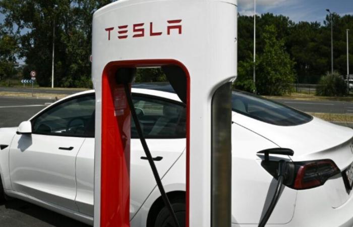 Fatal accident in Paris: Tesla called to modify its emergency braking system