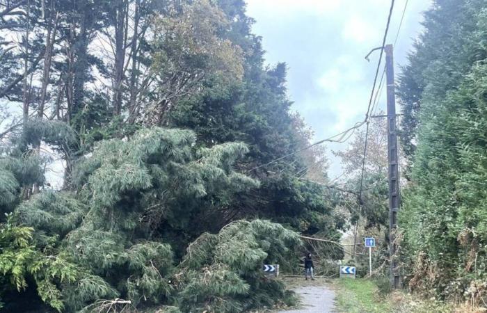 Storm Caetano. In Loire-Atlantique, 40,000 homes deprived of electricity