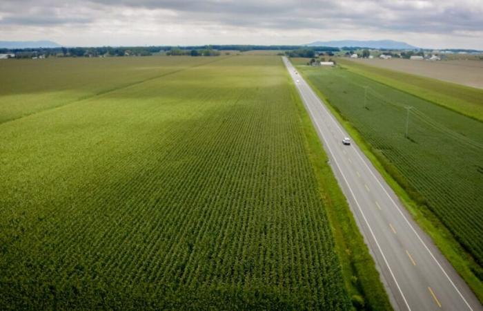 Saint-Hyacinthe authorized to develop the access road