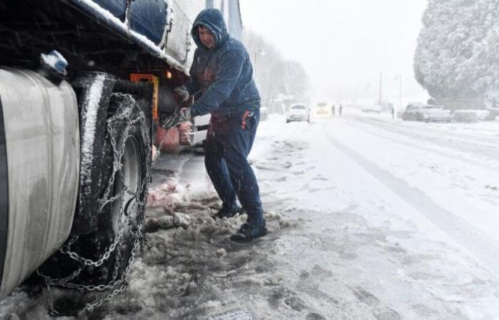 Storm Caetano: more than 200,00 people deprived of electricity in the west of France: News