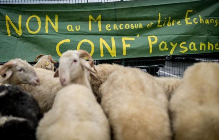 the Minister of Agriculture expected on a farm in Pas-de-Calais