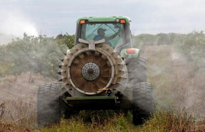 Pesticides authorized in Europe should “also be authorized in France”, insists the Minister of Agriculture