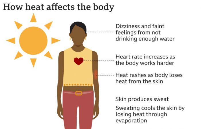 How do cold and heat-health alerts work?