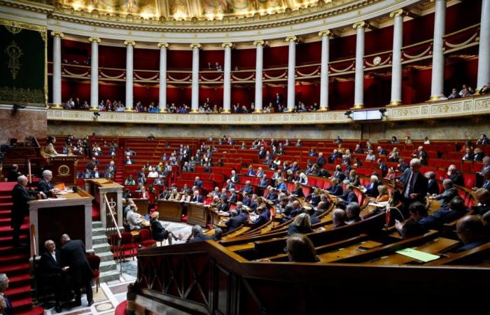 The office of the National Assembly recorded the creation of a France-Palestine friendship group