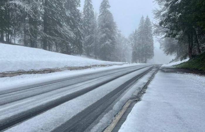 Canton of Uri – Heavy snowfall leads to traffic delays on the A2