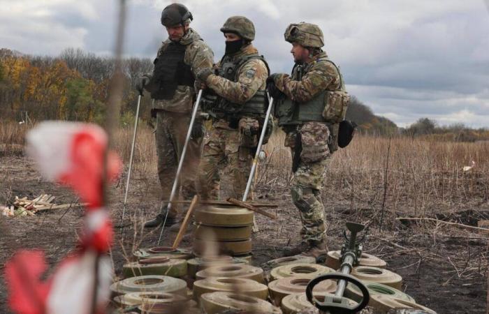 US draws criticism for authorizing supply of anti-personnel mines to kyiv