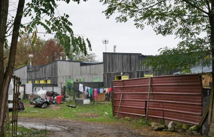 the inhabitants of the Chemin des Limites camp, forgotten for thirty years