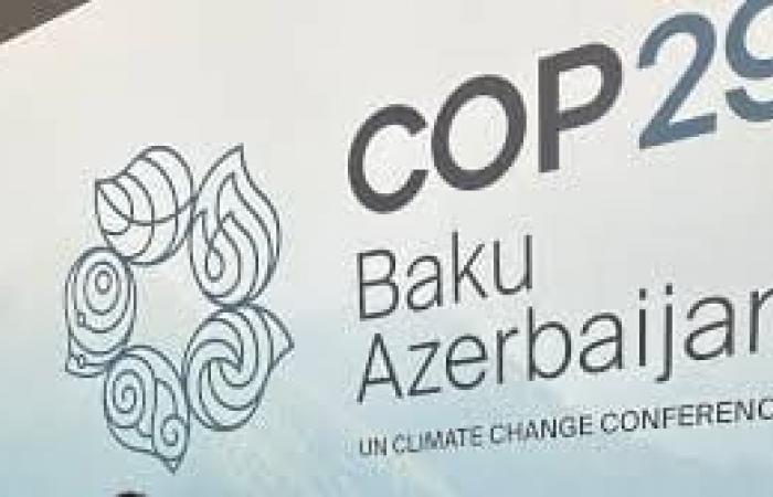 COP29: what future for environmental guardians in Africa? | APAnews