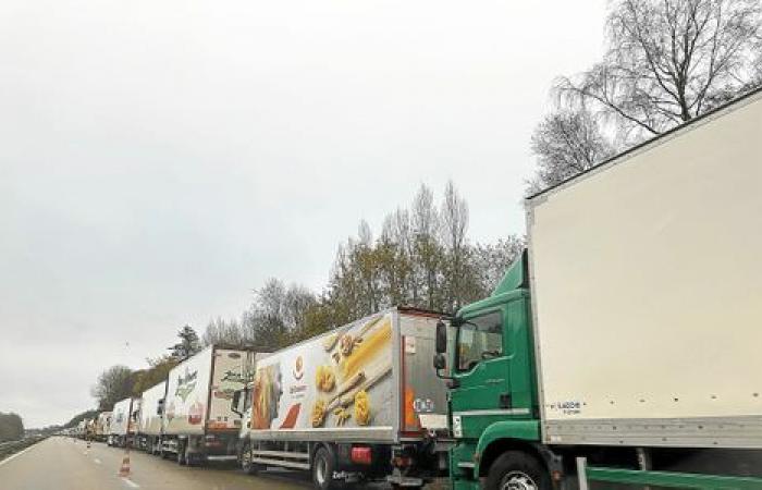 Stopping on the RN12 near Morlaix because of the snow, truck drivers take the opportunity to “socialize”