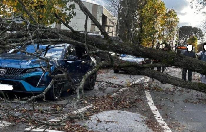 In Loire-Atlantique, storm Caétano leaves ten injured and causes chaos in transport