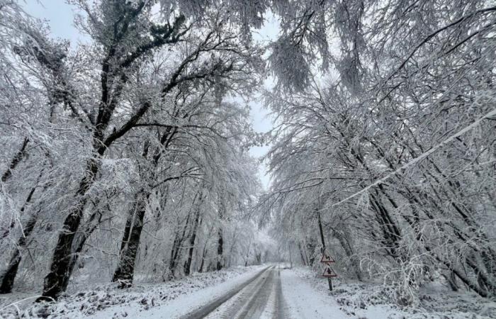 a very rare day of snow in November