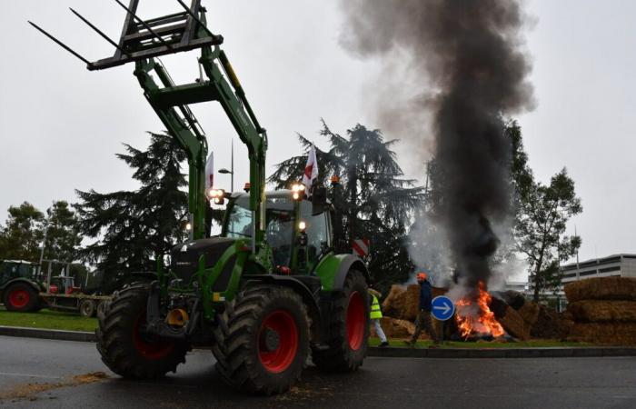 Anger of the farmers. Mobilization near Toulouse, Friday: here is what they are targeting