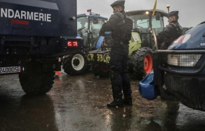 Farmers: unblocking of the port of Bordeaux announced after government announcements: News