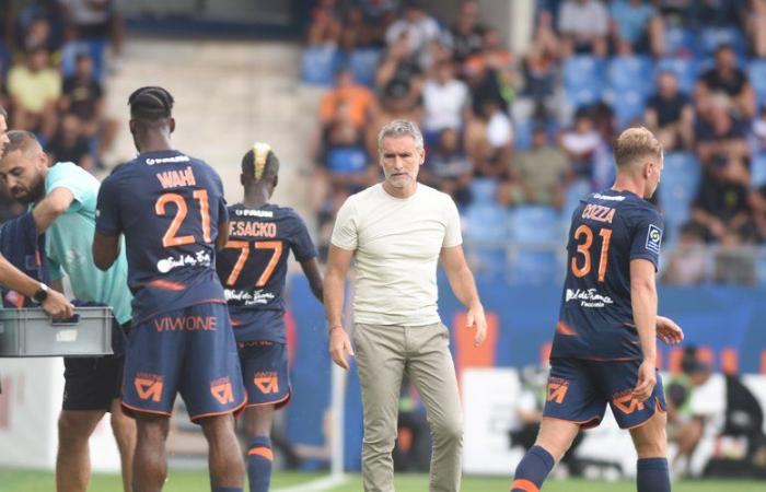 Saint-Etienne – MHSC: “If you take senior players, they have to be present”, regrets Olivier Dall'Oglio, the ex-coach of Montpellier