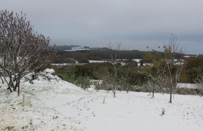 IN PICTURES. In Côtes-d'Armor, several centimeters of snow covered the countryside