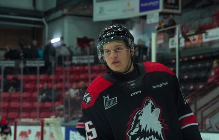 Lars Steiner, this 17-year-old Swiss who put Canada at his feet