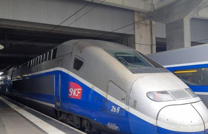 Caetano Depression: trains delayed in Brittany due to violent wind