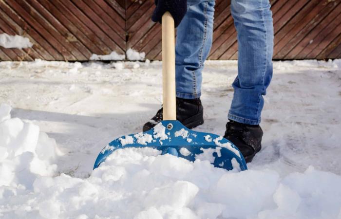 Do you have to salt your driveway with the first snow that has arrived? Alternatives to protect your floor – Masculin.com